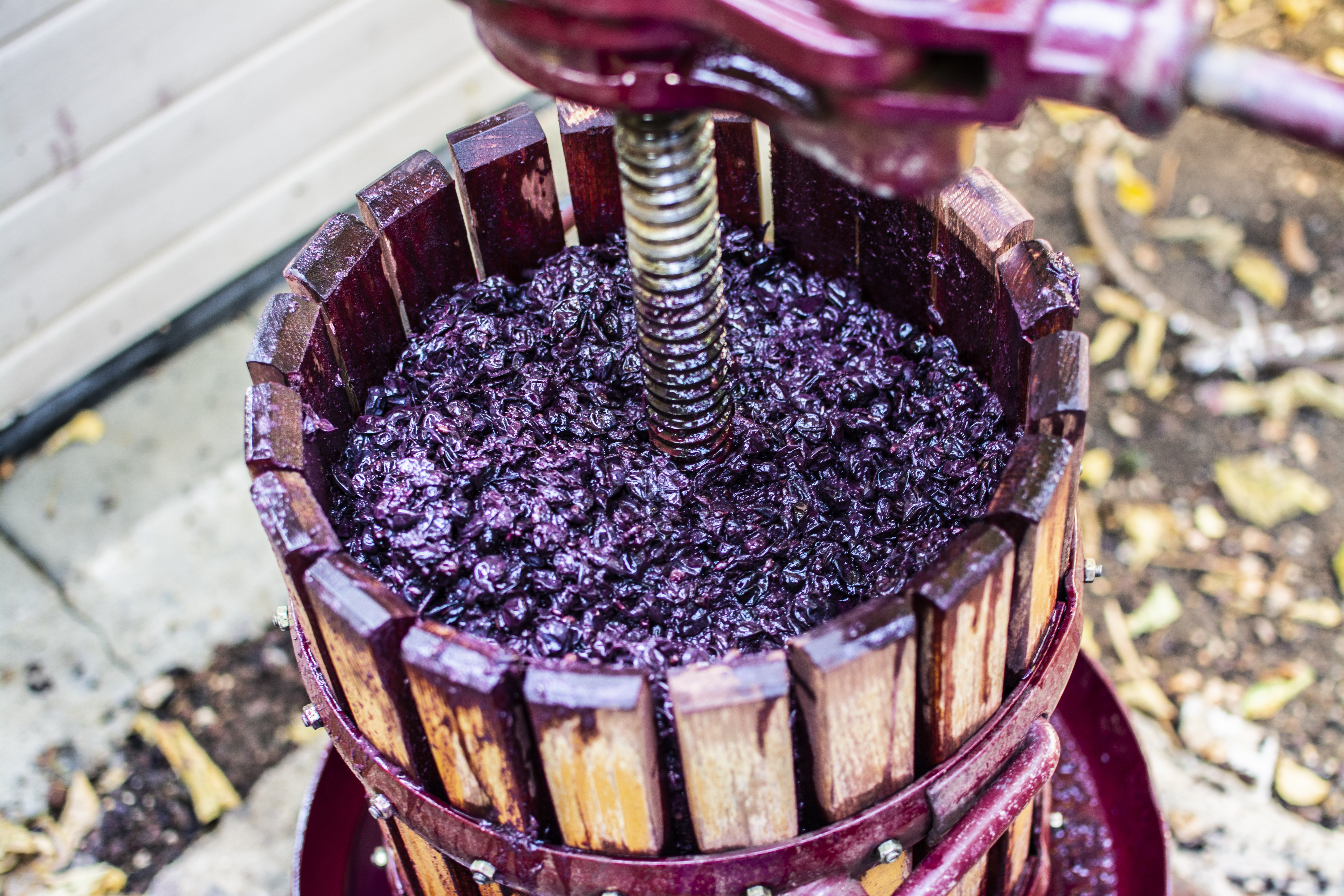 בקבוקי יין של יקב כלנית