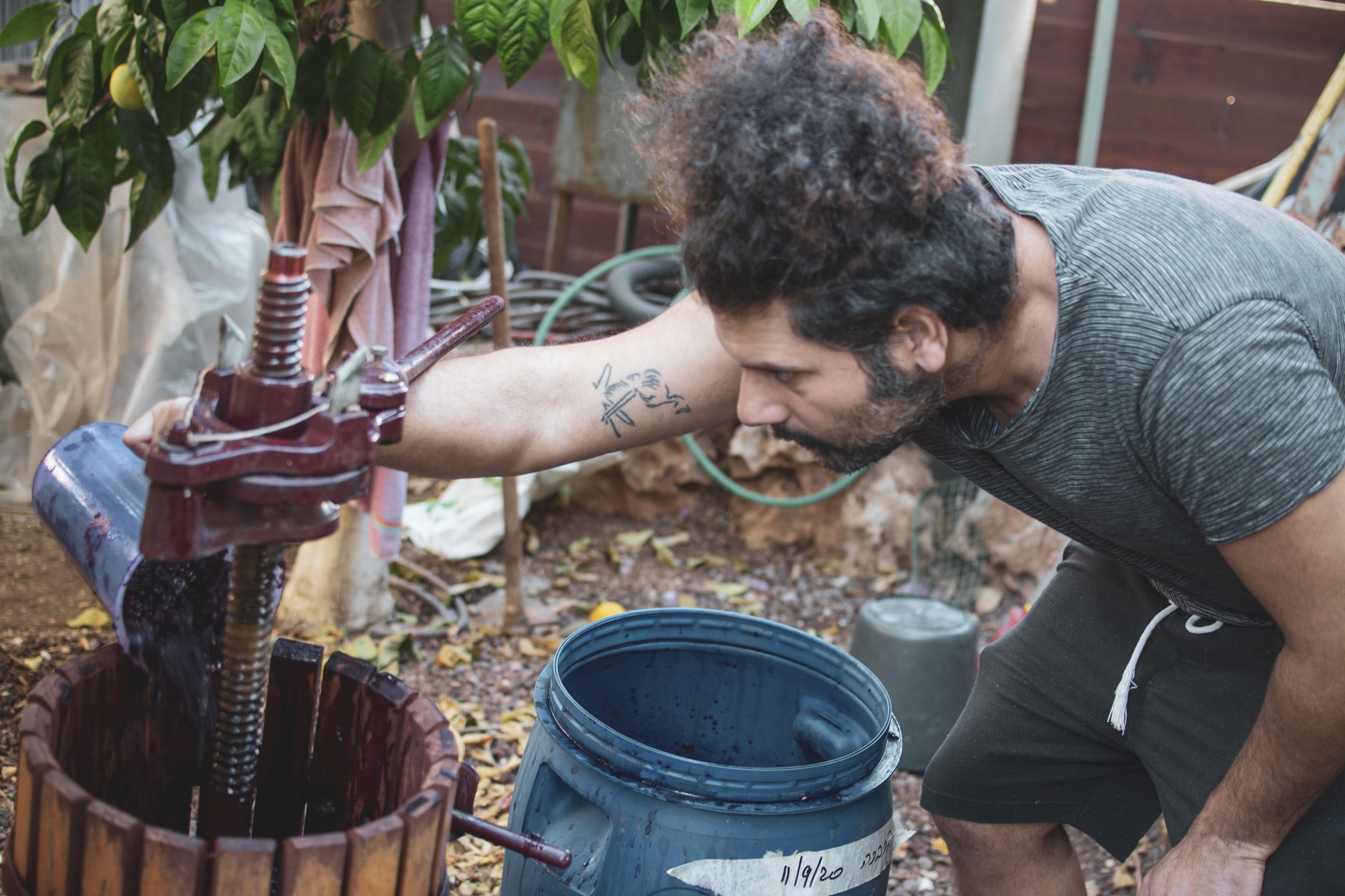 טעימות יין ביקב כלנית