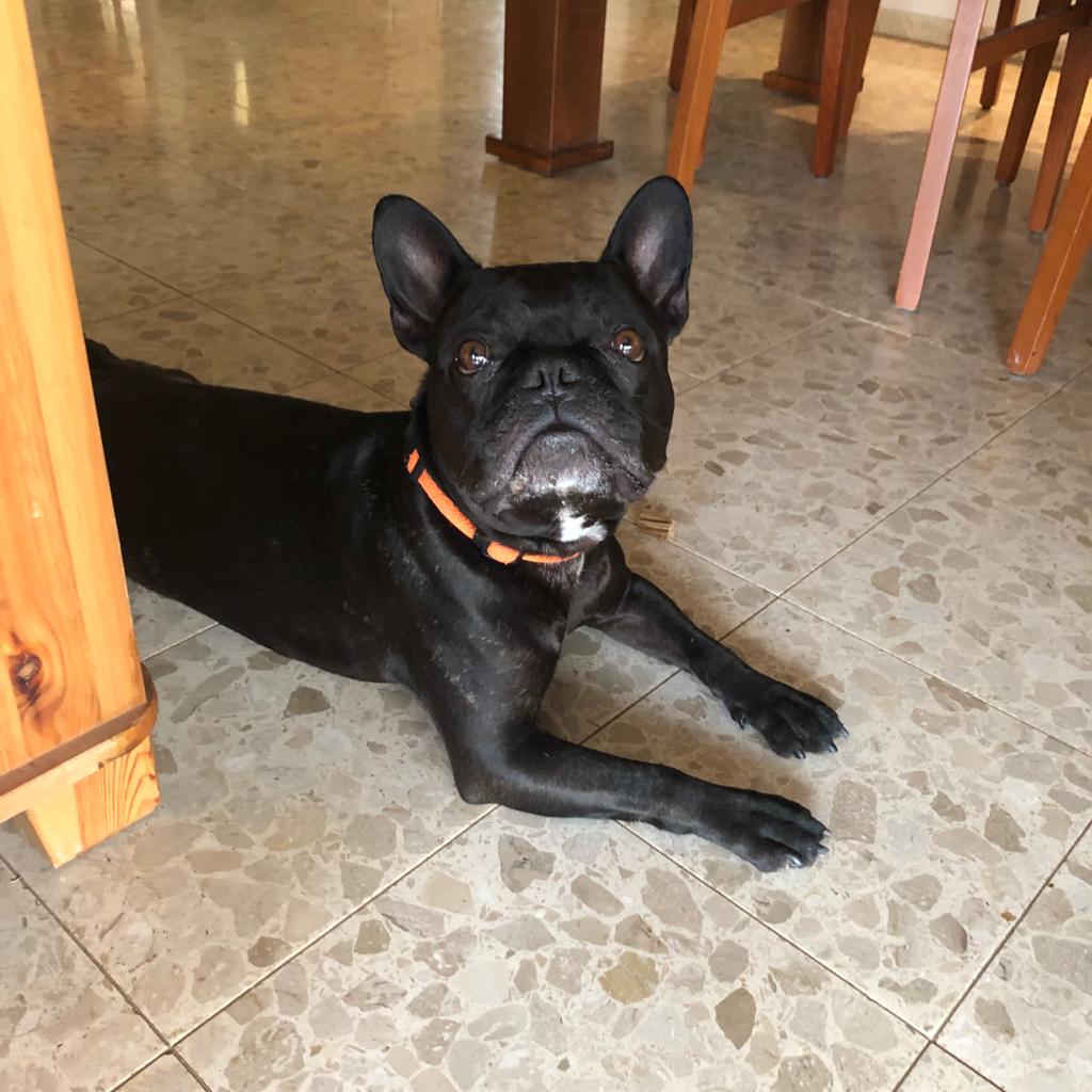 יקב בוטיק בצפון ישראל